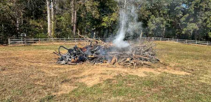 A controlled burn of tree debris and branches in an open field, with smoke rising into the air under bright sunlight.